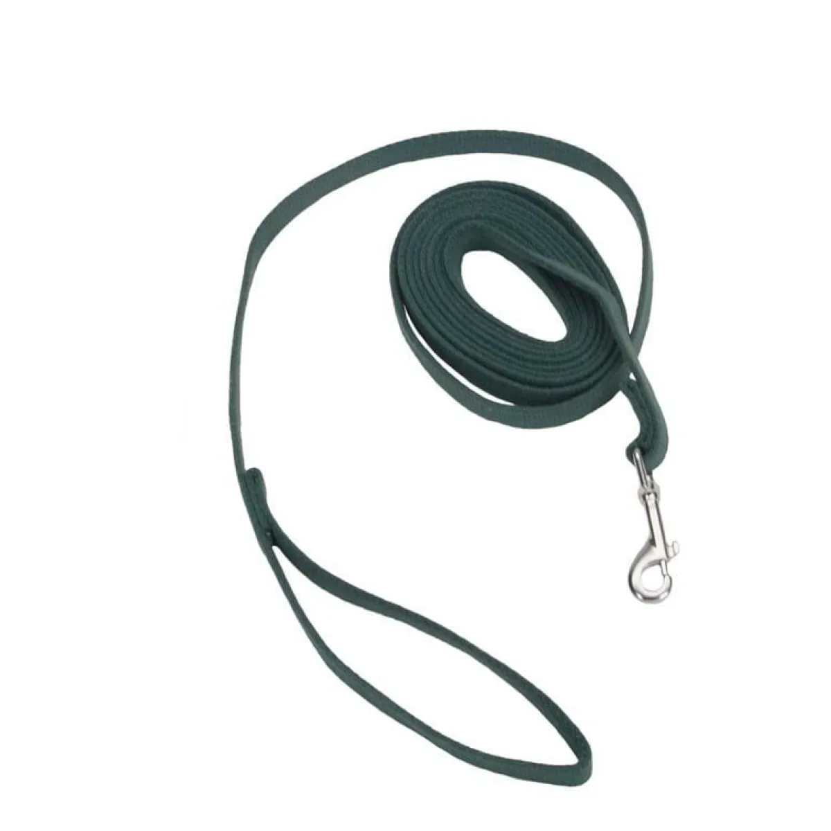 Ryan's Pet Supplies 6 Foot Coastal Training Leads
