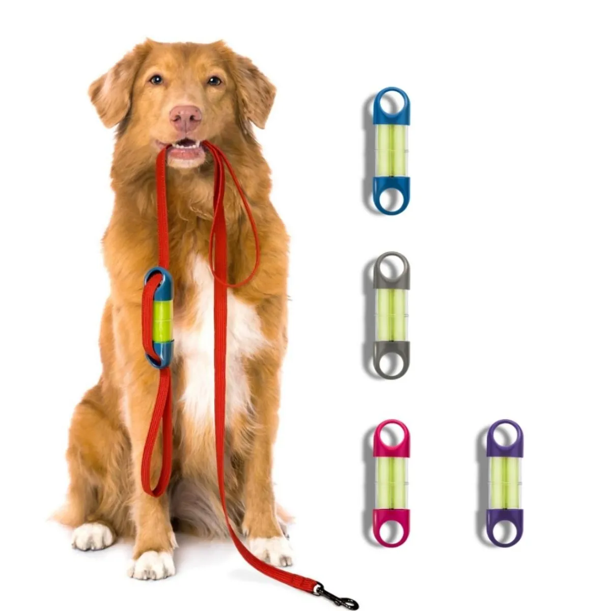 Ryan's Pet Supplies GreenLine LOOP Poop Bag Dispenser
