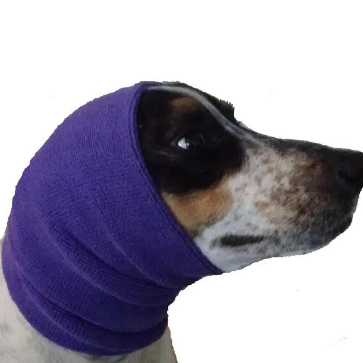 Ryan's Pet Supplies Happy Hoodie - XL Purple