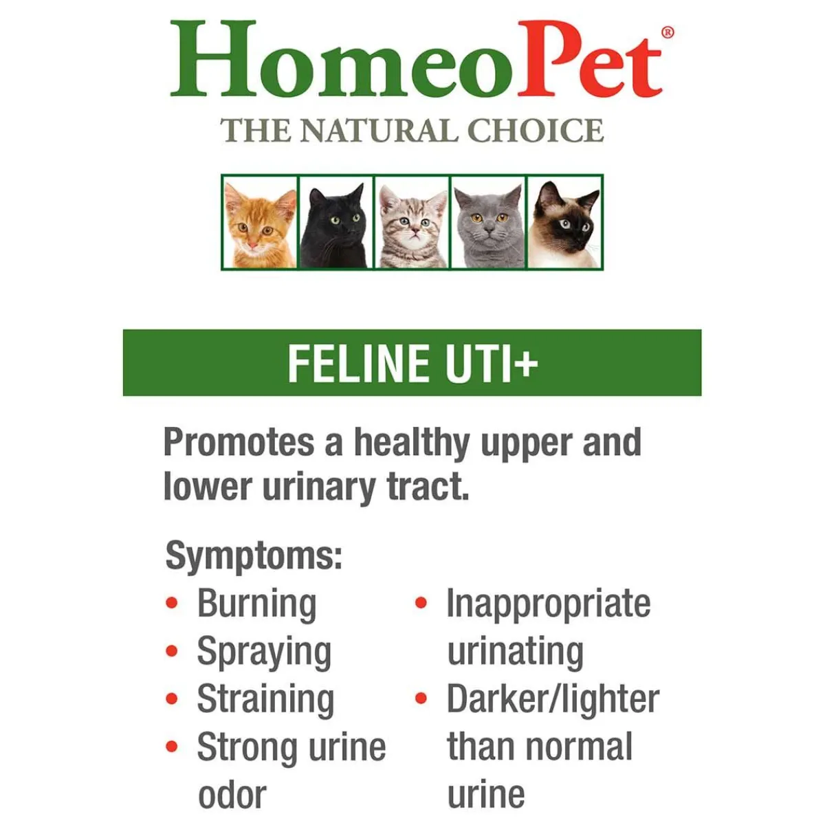homeopet_feline_uti_2.webp Ryan's Pet Supplies HomeoPet Feline UTI