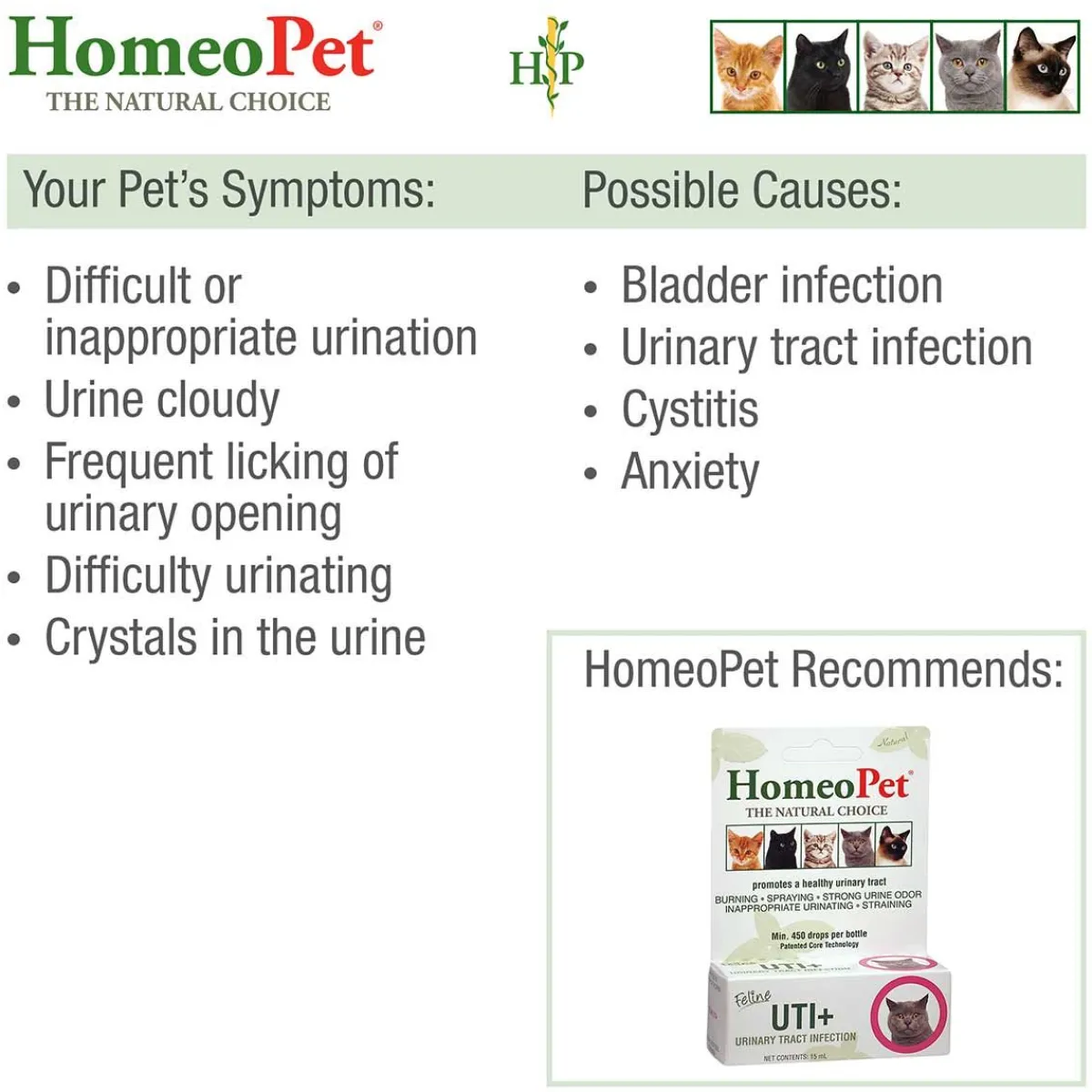 homeopet_feline_uti_3.webp Ryan's Pet Supplies HomeoPet Feline UTI
