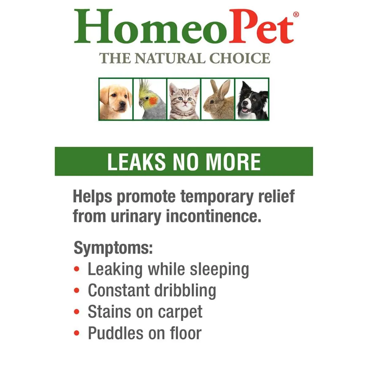 homeopet_leaks_no_more_2.webp Ryan's Pet Supplies HomeoPet Leaks No More