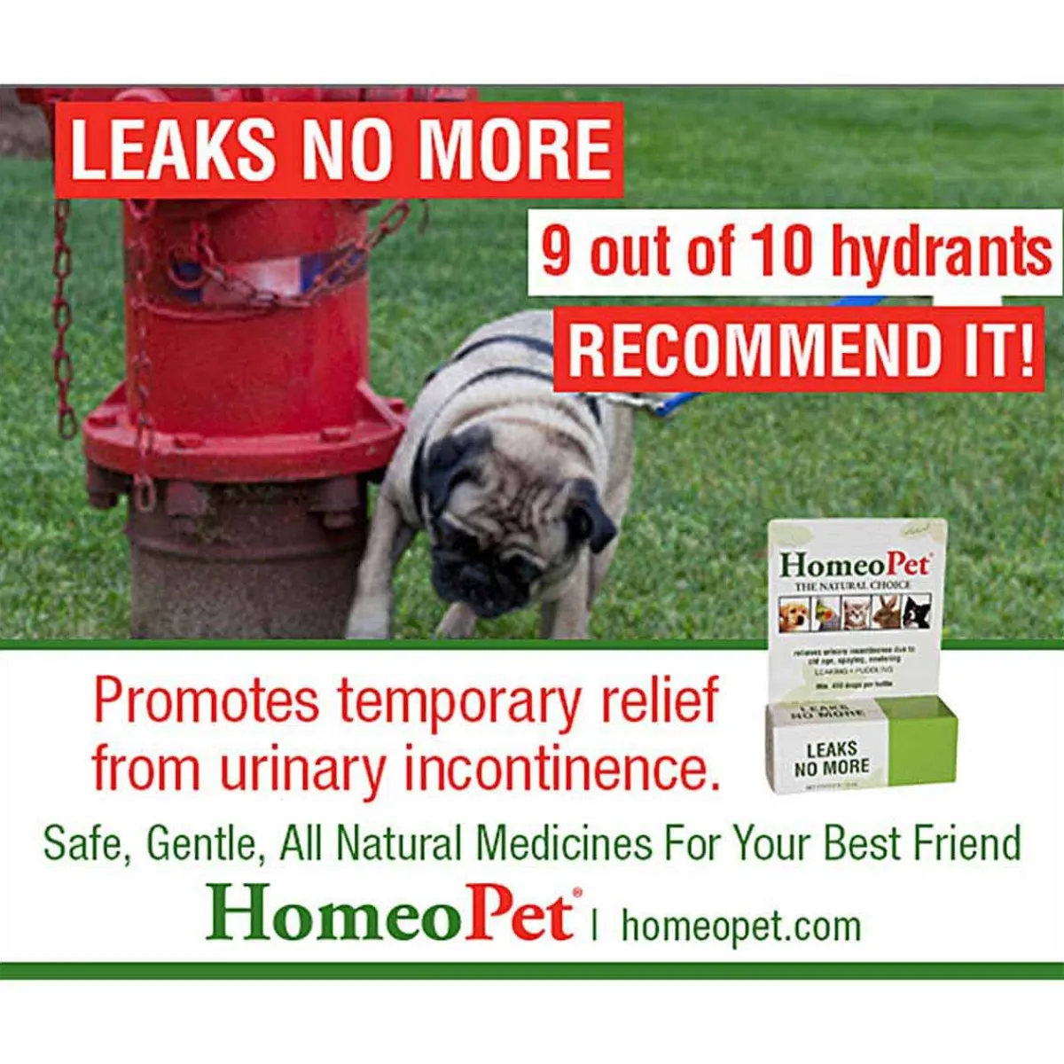 homeopet_leaks_no_more_3.webp Ryan's Pet Supplies HomeoPet Leaks No More