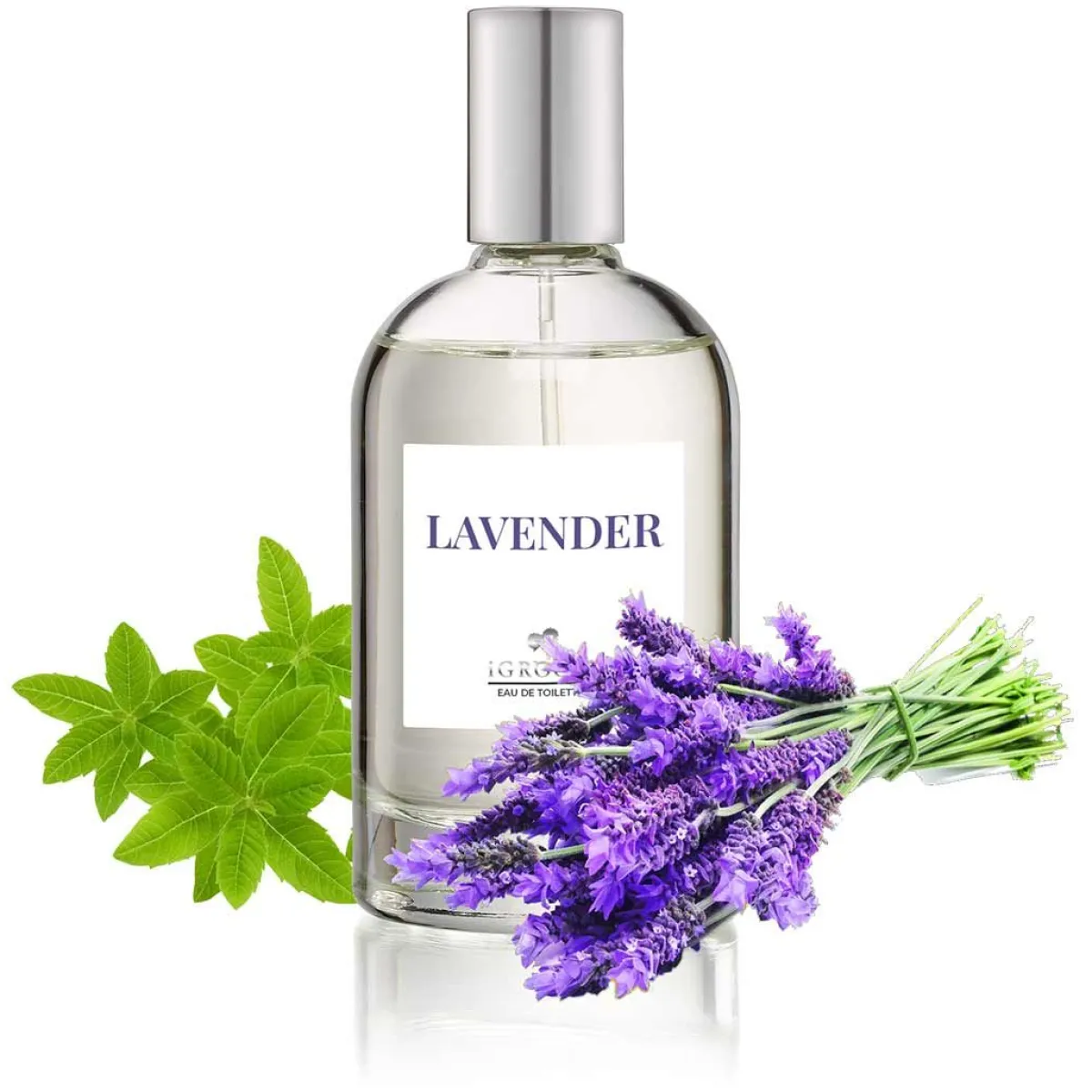 Ryan's Pet Supplies iGroom Lavender Pet Perfume 100ml