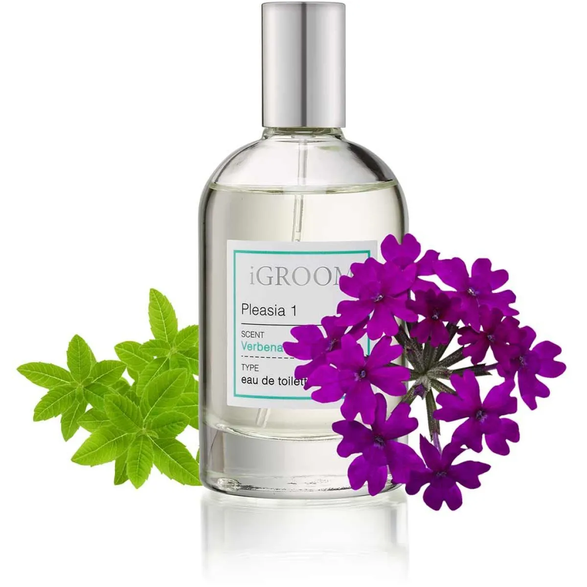 Ryan's Pet Supplies iGroom Pleasia 1 Refreshing Verbena Pet Perfume (100ml)