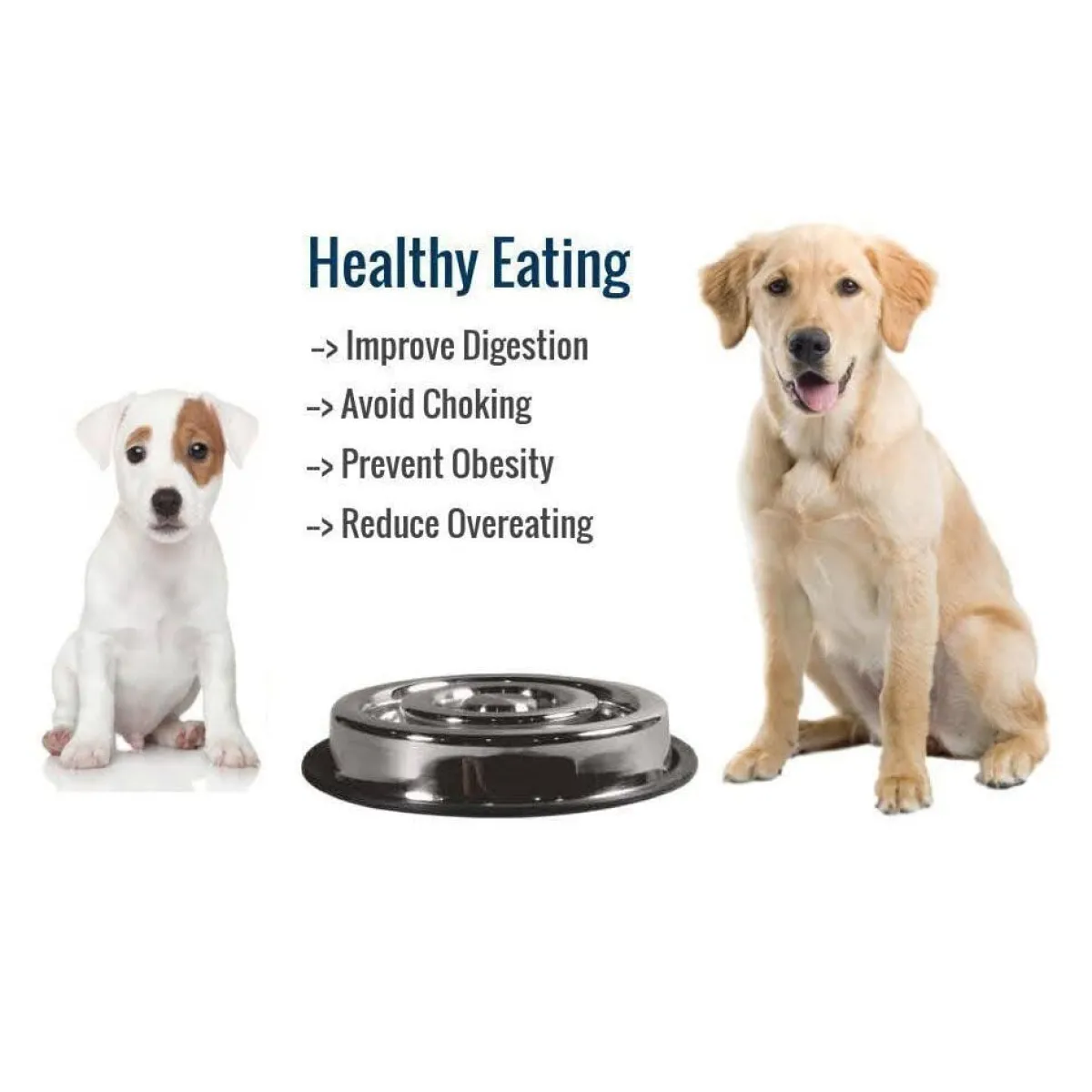 indipets_spiral_slow_feed_small_bowl_2.webp Ryan's Pet Supplies Indipets Spiral Slow Feed Small Bowl