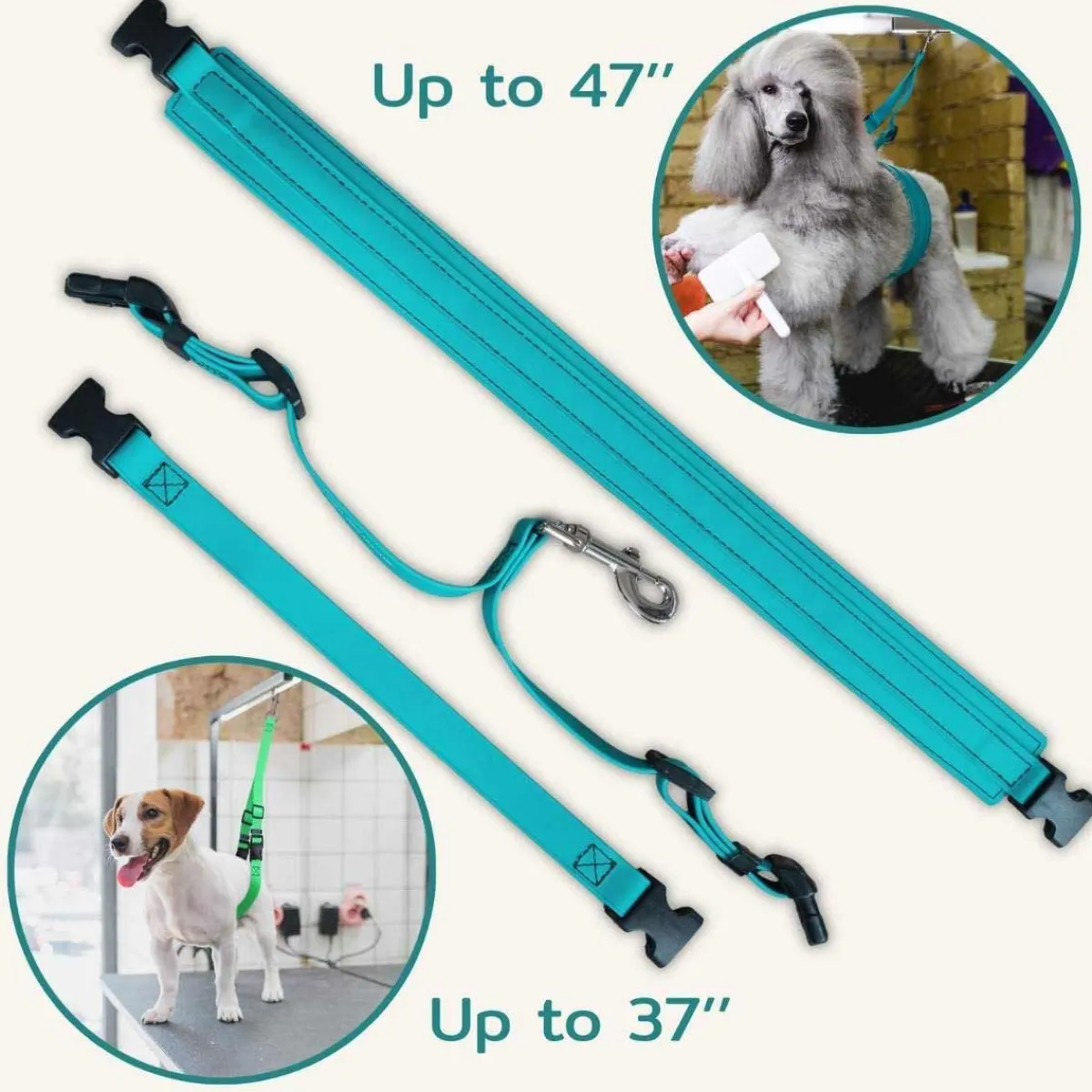 Ryan's Pet Supplies Jelly Pet Belly Loop Restraint