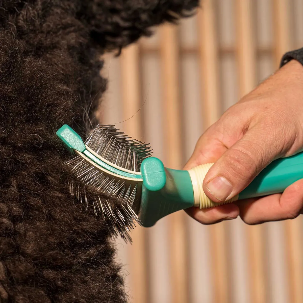 jelly_pet_double_sided_slicker_brush_2.webp Ryan's Pet Supplies Jelly Pet Double Sided Slicker Brush