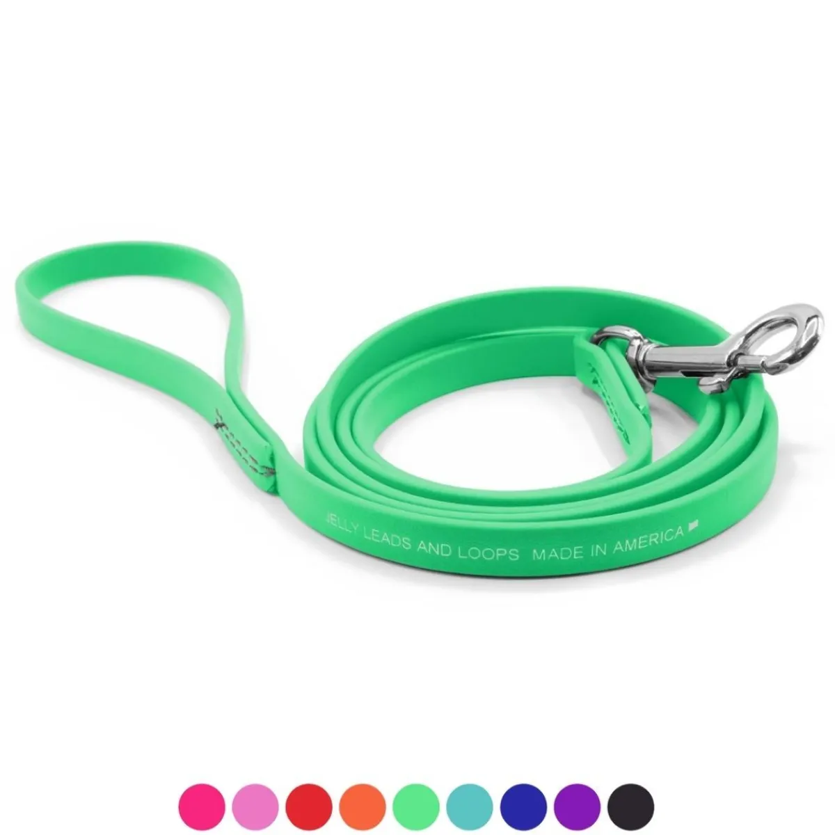 Ryan's Pet Supplies Jelly Pet Leash Standard Dog Leash 3/8'' x 6'