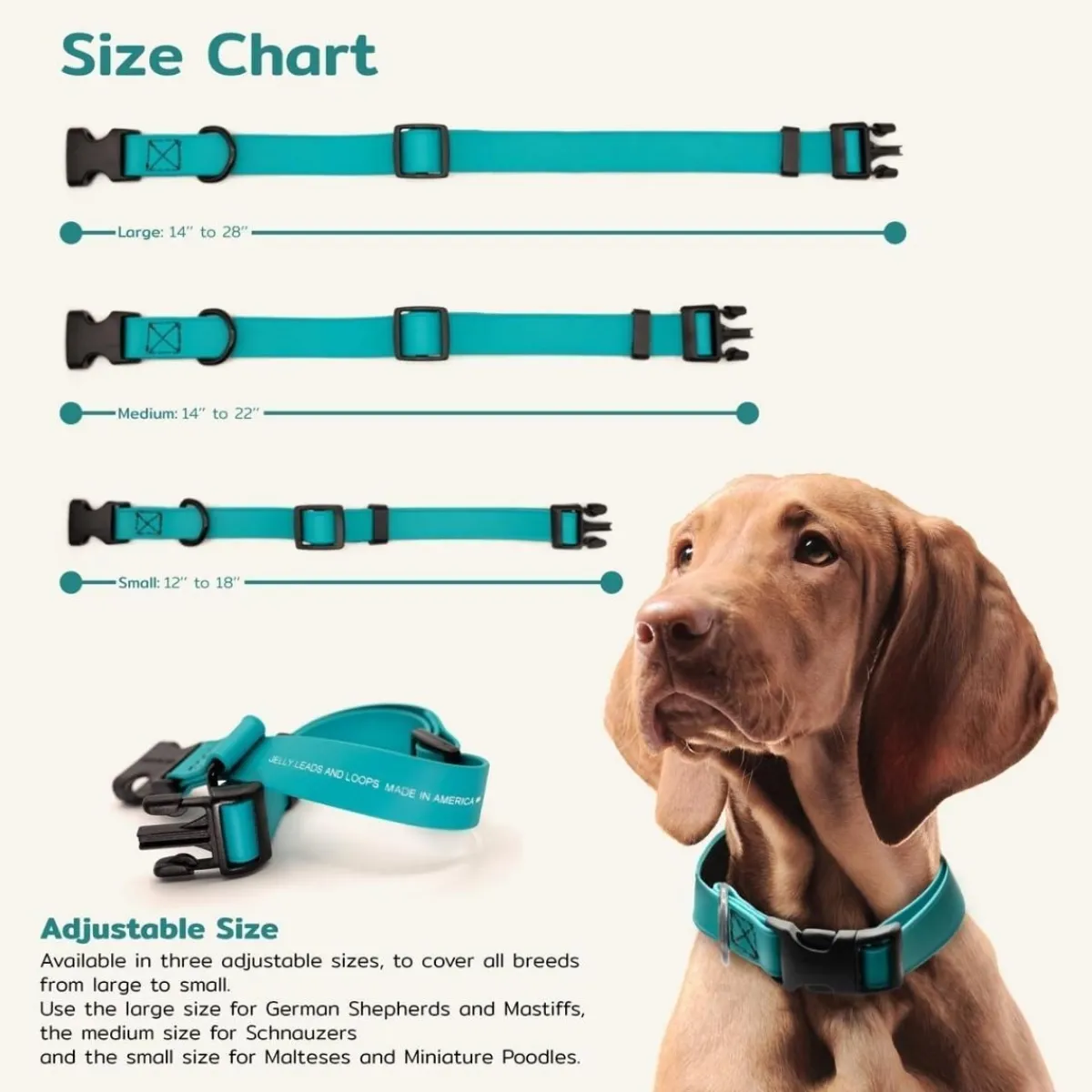 jelly_pet_small_dog_collar_quot_x__4.webp Ryan's Pet Supplies Jelly Pet Small Dog Collar 3/4" x 11''-16''