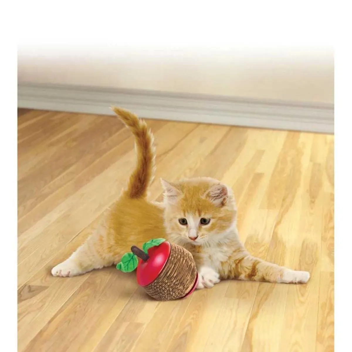 Ryan's Pet Supplies KONG Scratch Apple