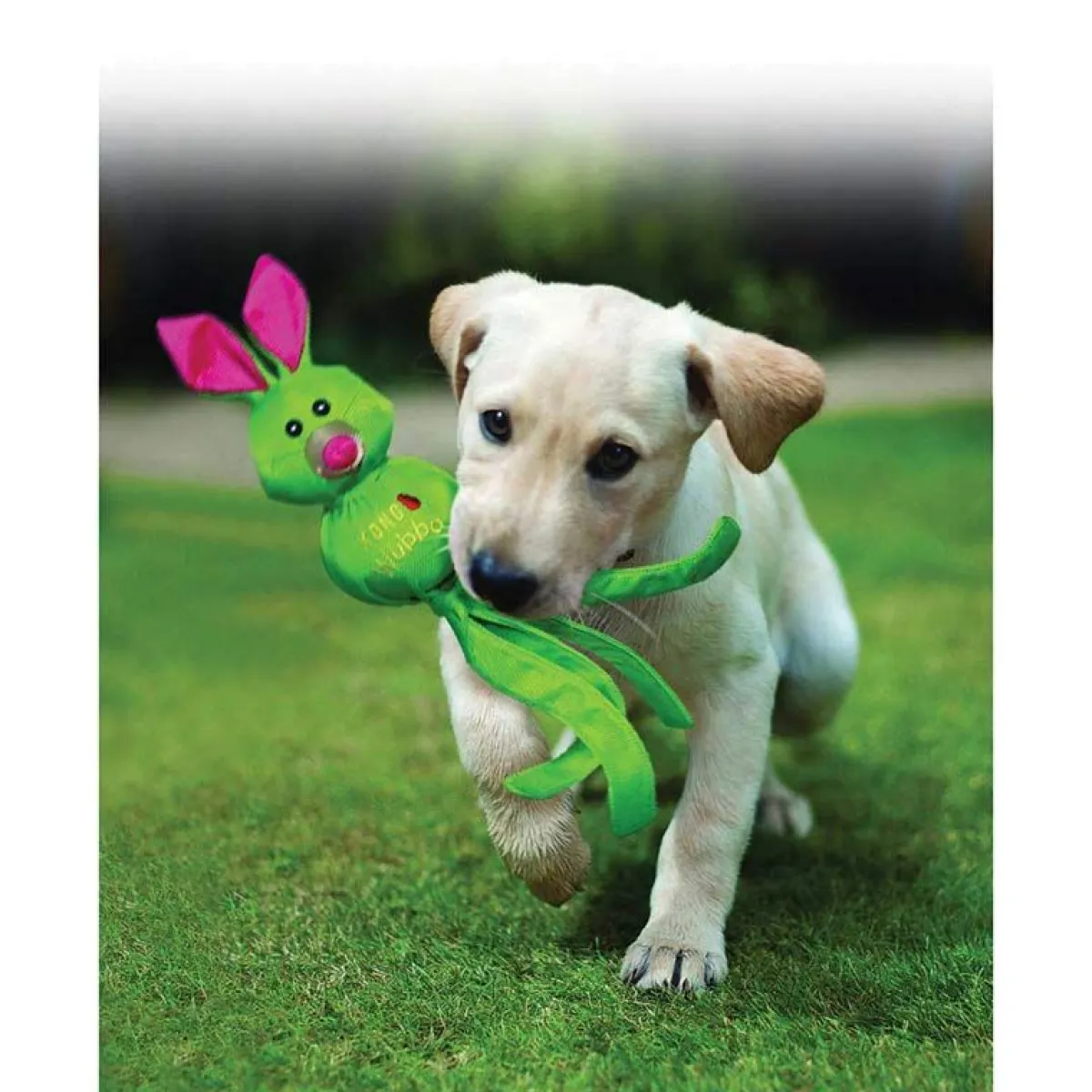 kong_wubba_ballistic_large_1.webp Ryan's Pet Supplies KONG Wubba Ballistic Large