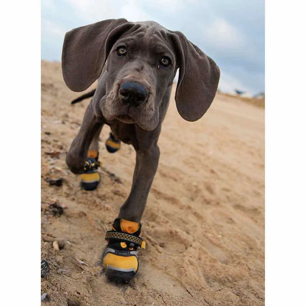 kurgo_stepnstrobe_dog_shoes__xs__orangeblack_6.webp Ryan's Pet Supplies Kurgo Step-n-Strobe Dog Shoes - XS (2.25'') Orange/Black