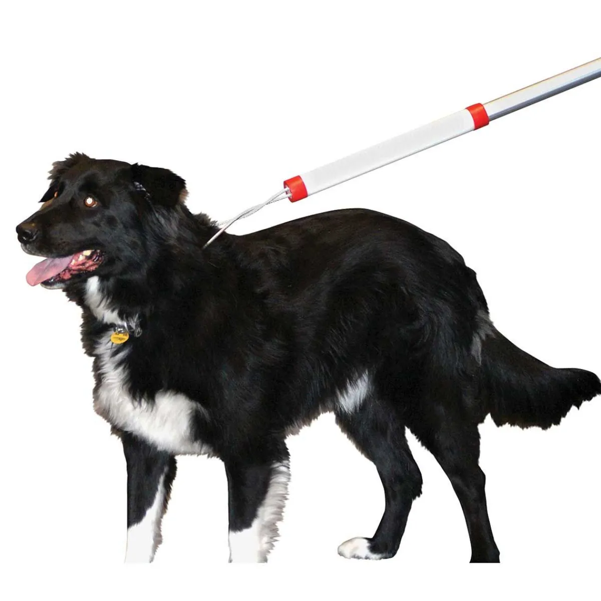 Ryan's Pet Supplies KVP 6' Snarem Pole