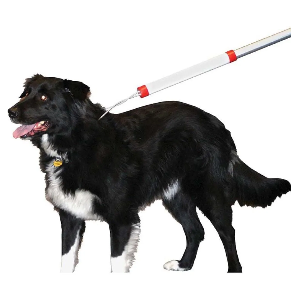 Ryan's Pet Supplies KVP 4' Snarem Pole