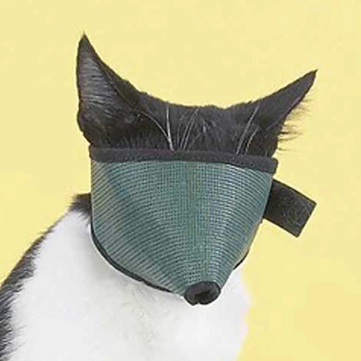 Ryan's Pet Supplies Large Cat Muzzle
