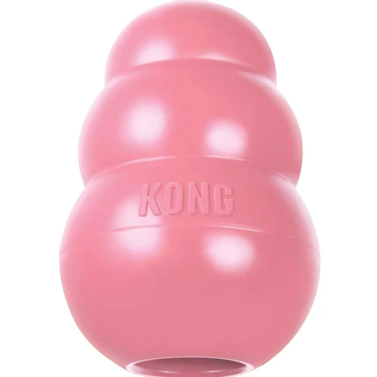 Ryan's Pet Supplies Large Puppy KONG