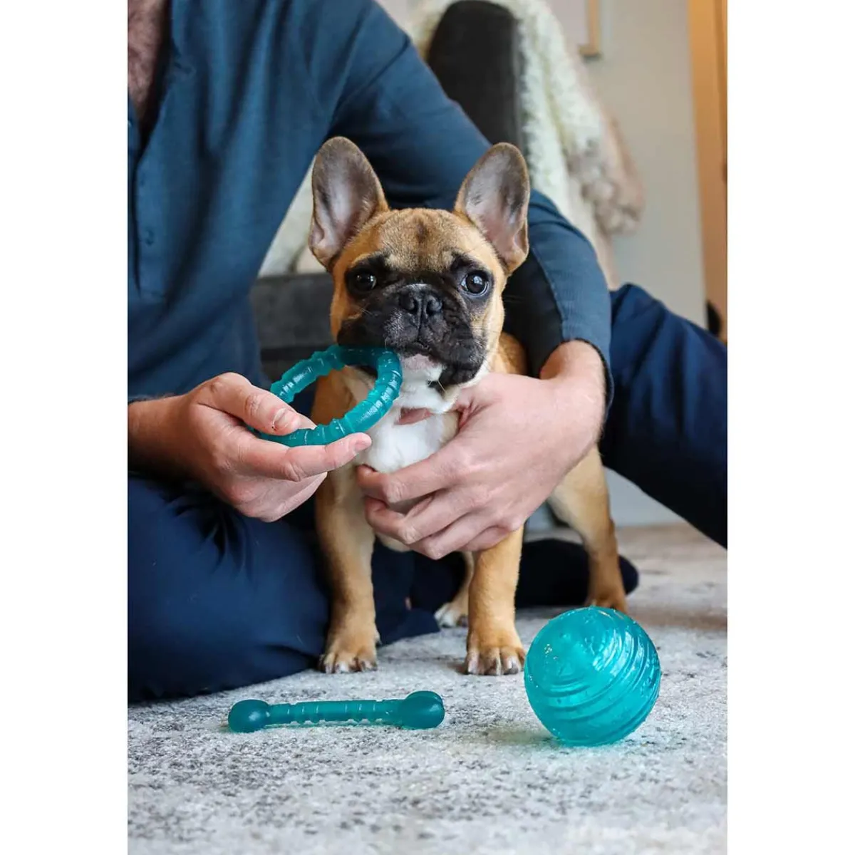 lil_pals_antimicrobial_quot_ball_1.webp Ryan's Pet Supplies Li'l Pals Antimicrobial 3" Ball