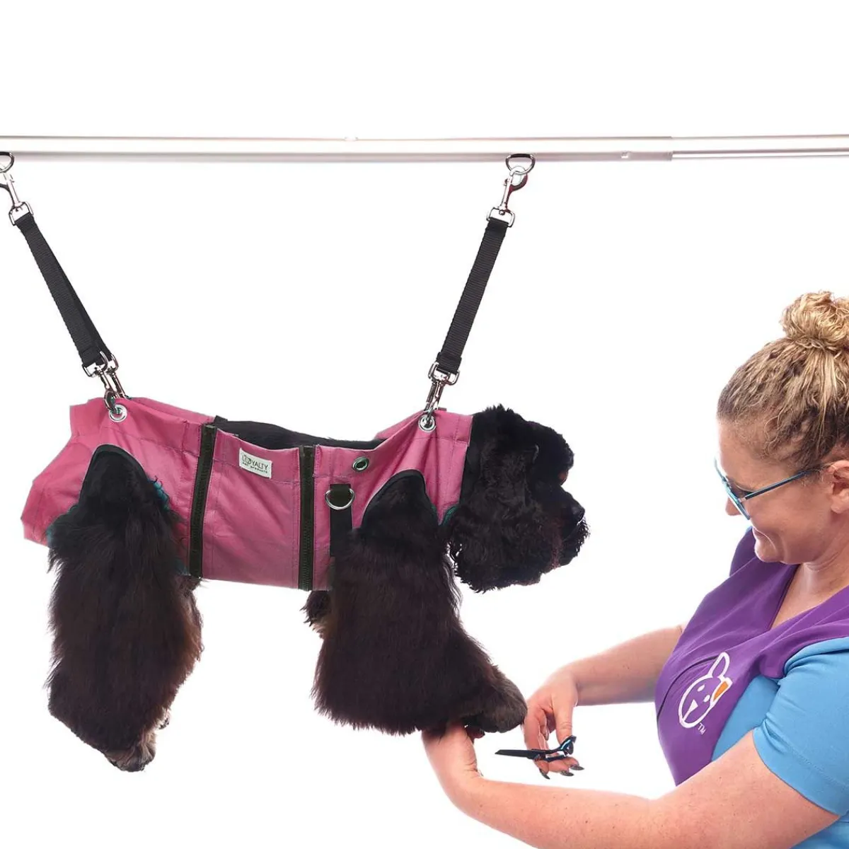 Ryan's Pet Supplies Loyalty Pet Products - Nail Grooming Hammock