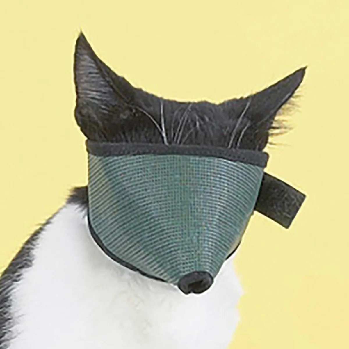 Ryan's Pet Supplies Medium Cat Muzzle