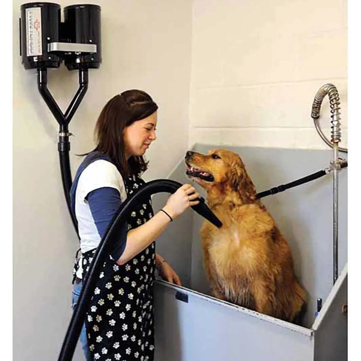 Ryan's Pet Supplies MetroVac Air Force Twin Turbo High Velocity Dog Dryer