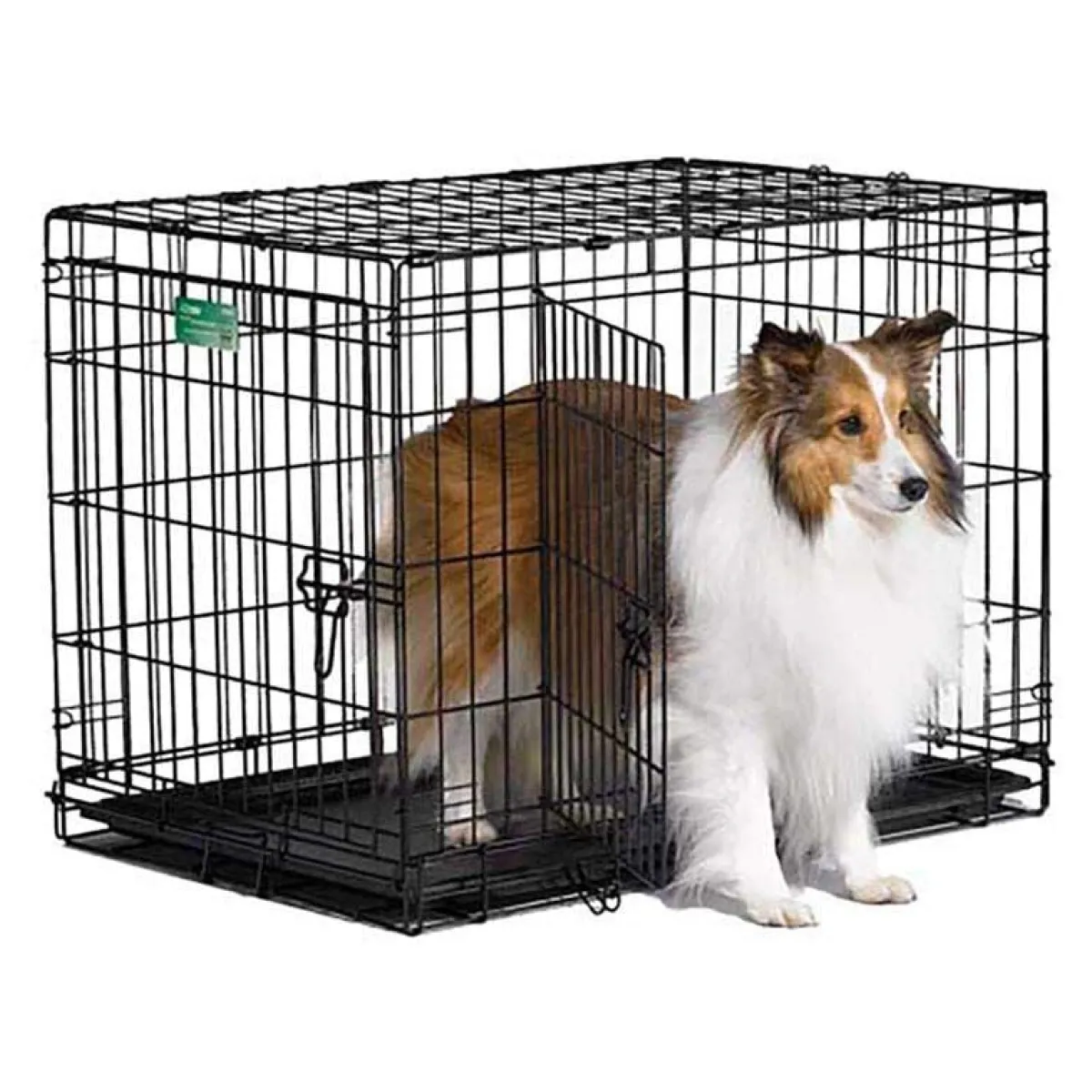 Ryan's Pet Supplies Midwest Icrate Double Door 30" X 19" X 21"