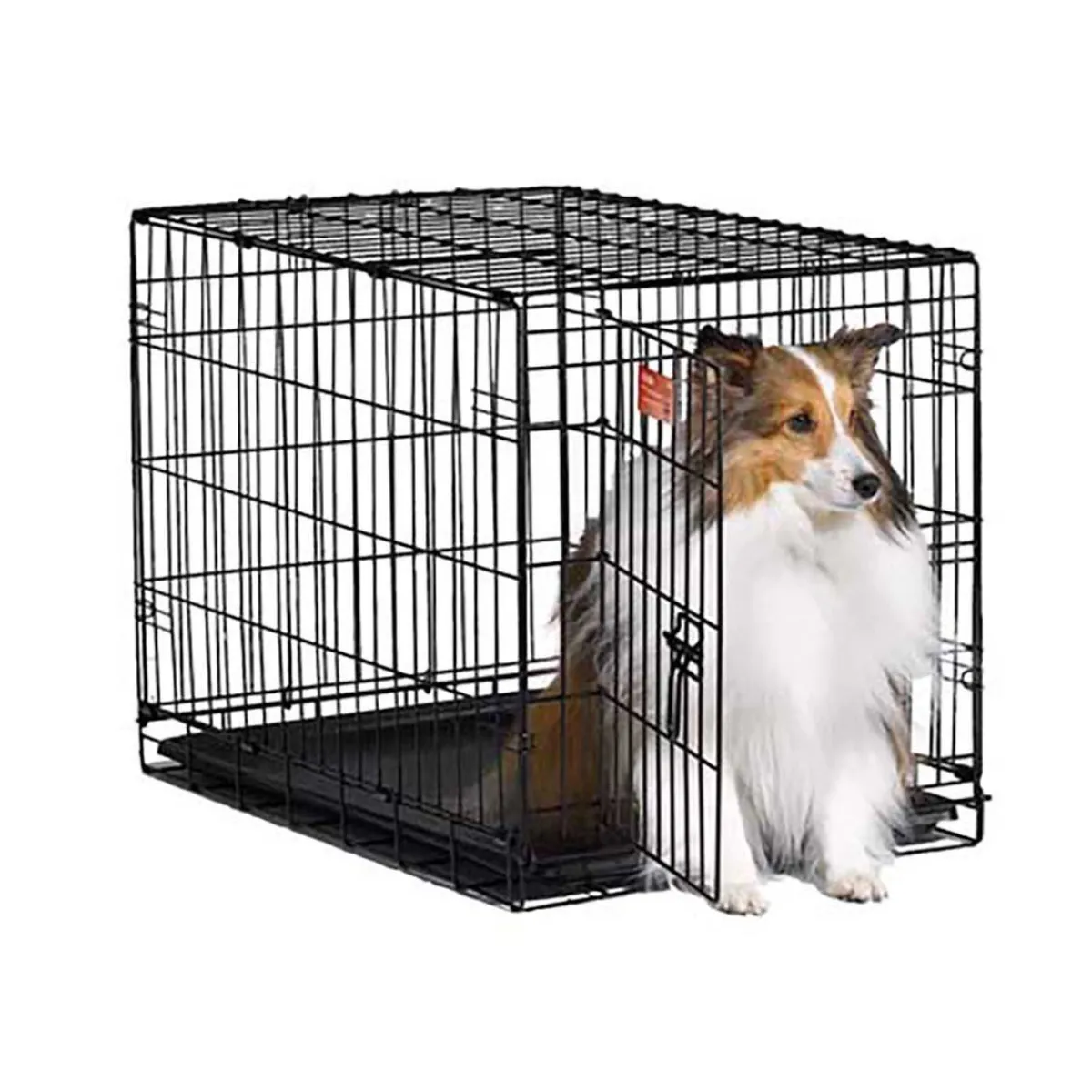 Ryan's Pet Supplies Midwest Icrate Single Door Metal Crate - 30" X 19" X 21"