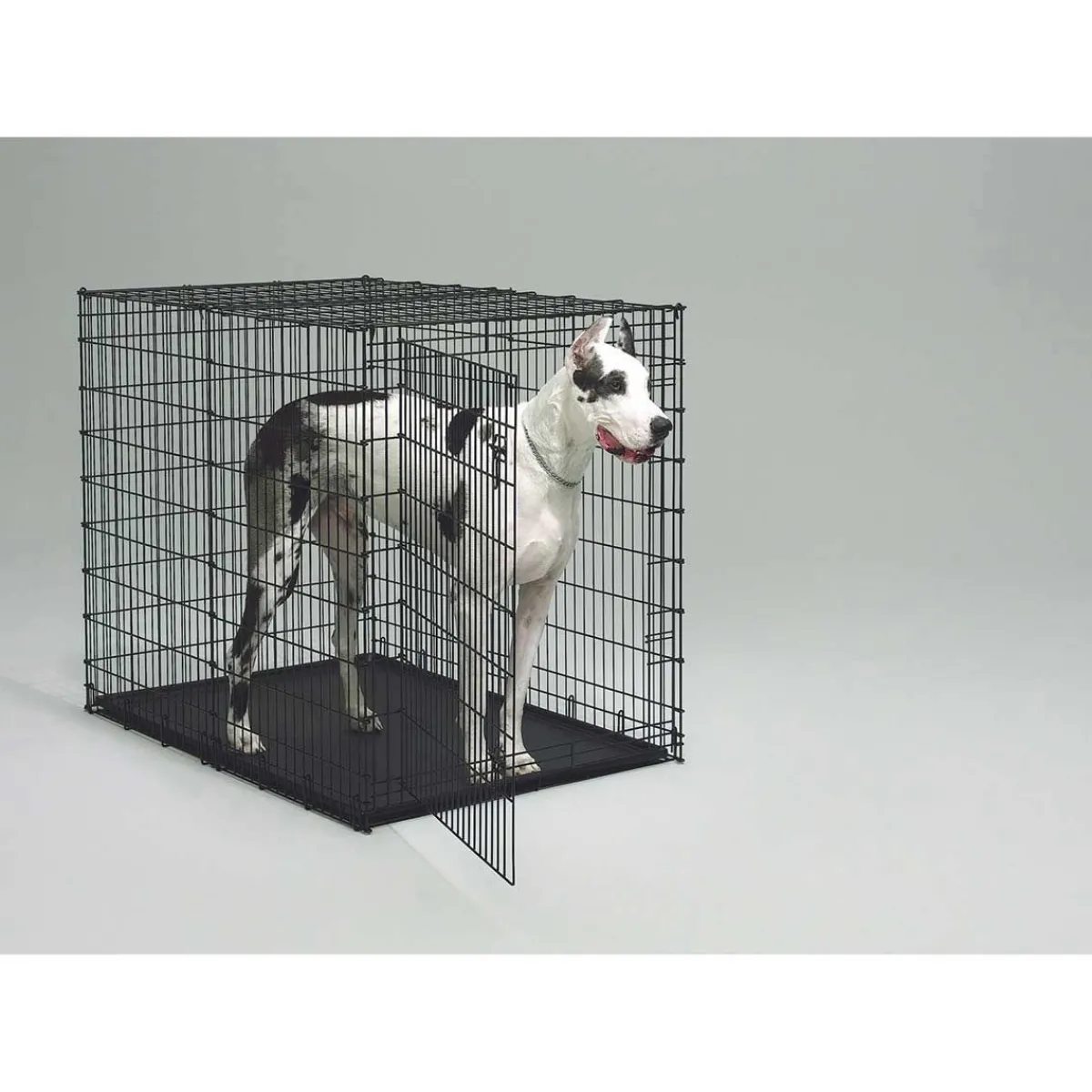 Ryan's Pet Supplies Midwest XL Colossal Crate 54" x 35" x 45" (Pan Not Included)