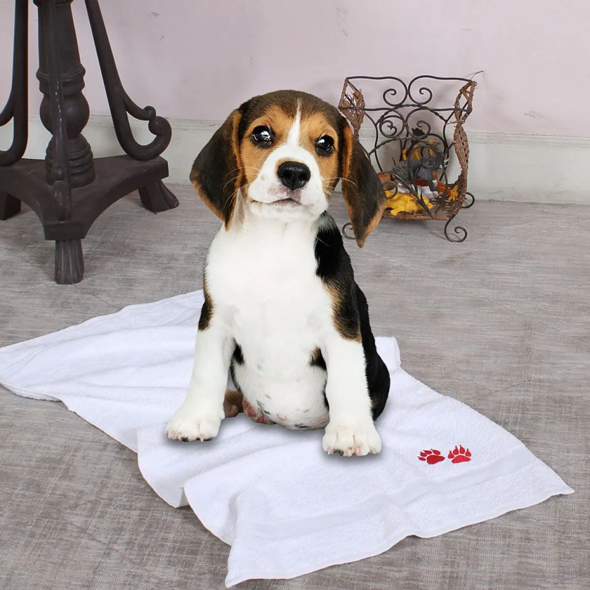 Ryan's Pet Supplies Muddy Paws Towel w/ Paws 20" x 40" - 6 pack