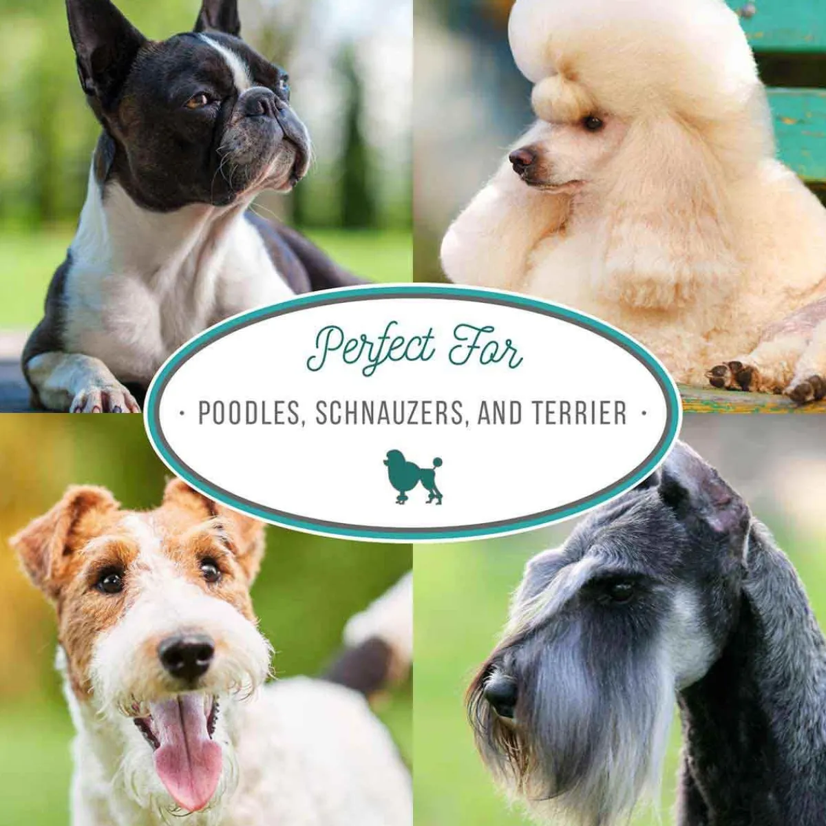 natures_specialties_almond_crisp_degreasing_pet_shampoo__7.webp Ryan's Pet Supplies Natures Specialties Almond Crisp Degreasing Pet Shampoo 32:1