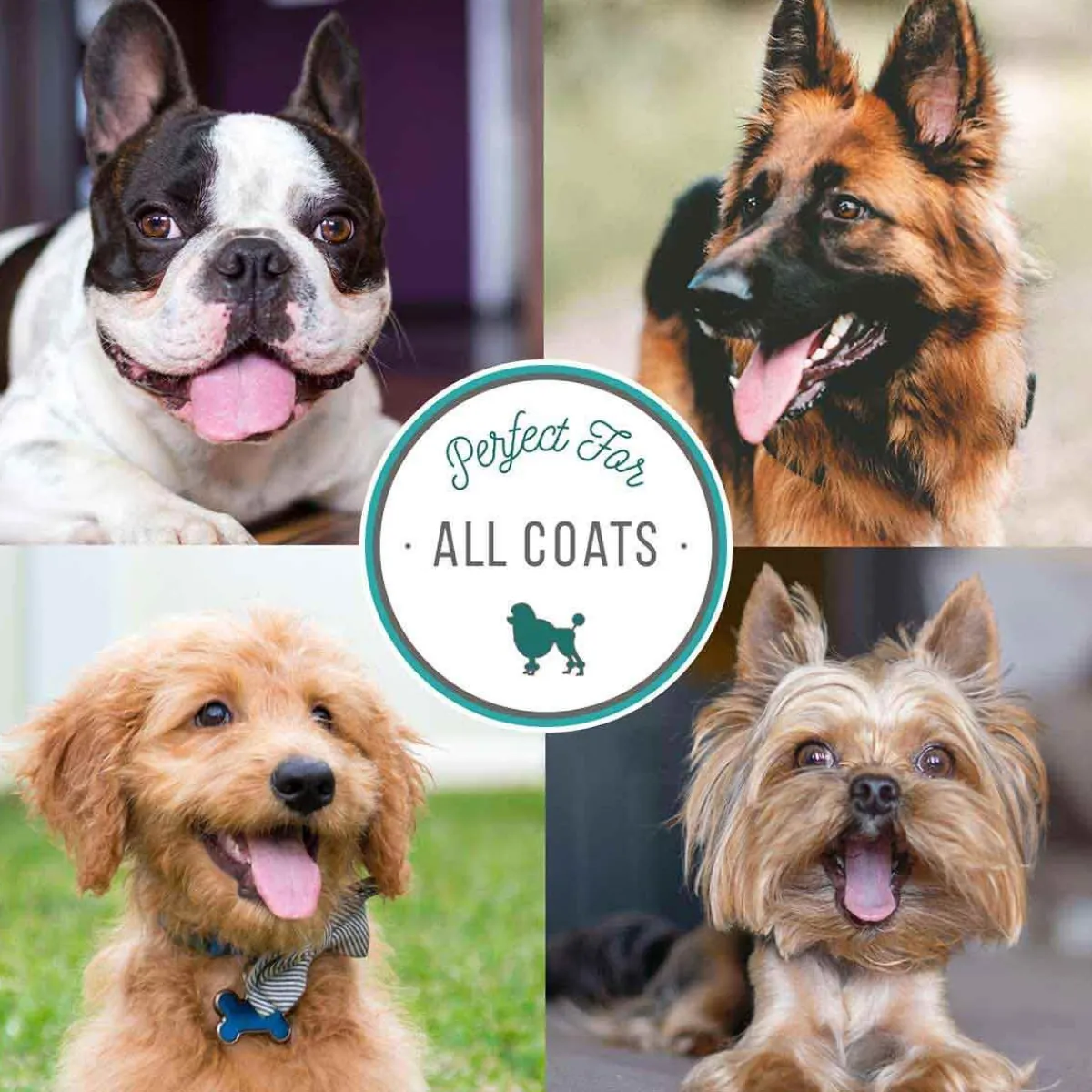 natures_specialties_plum_silky_shampoo__7.webp Ryan's Pet Supplies Natures Specialties Plum Silky Shampoo 24:1