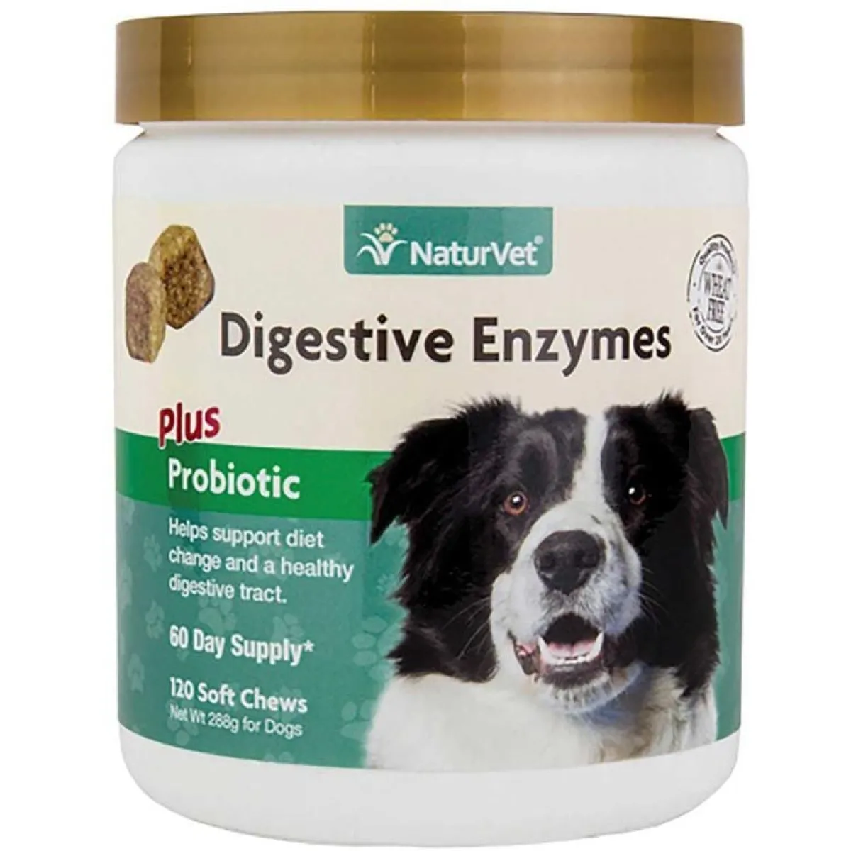 Ryan's Pet Supplies NaturVet Digestive Enzymes Plus Probiotic Soft Chews 120 Count Jar