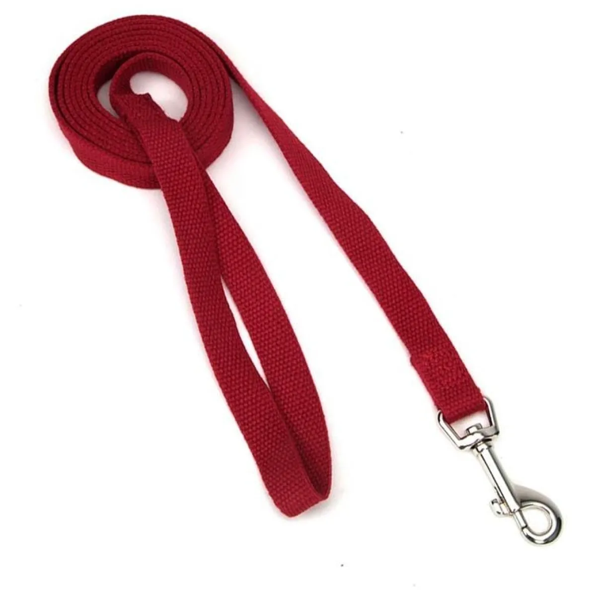Ryan's Pet Supplies New Earth Soy Lead 5/8" x 6'