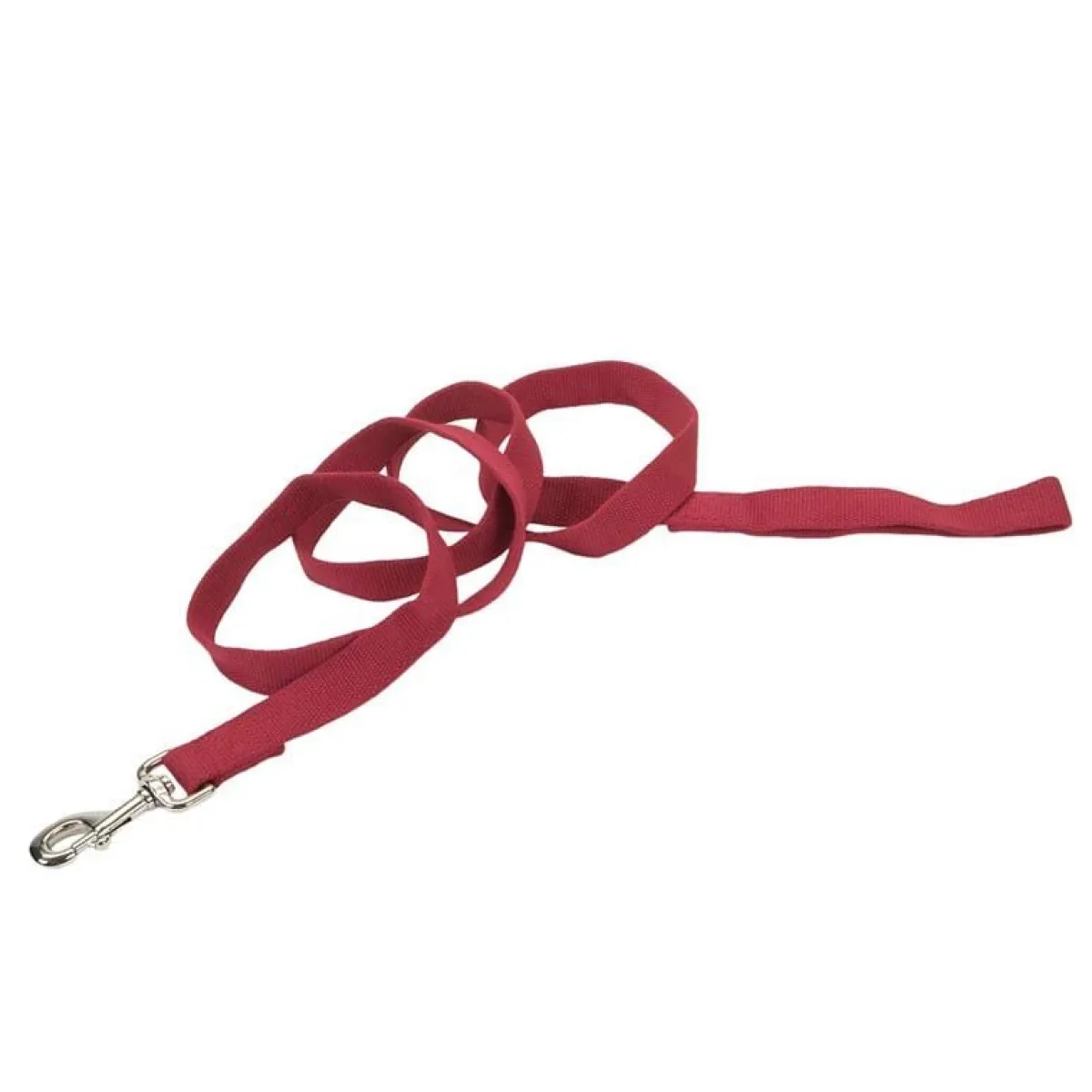 Ryan's Pet Supplies New Earth Soy Long Lead 1" X 6'