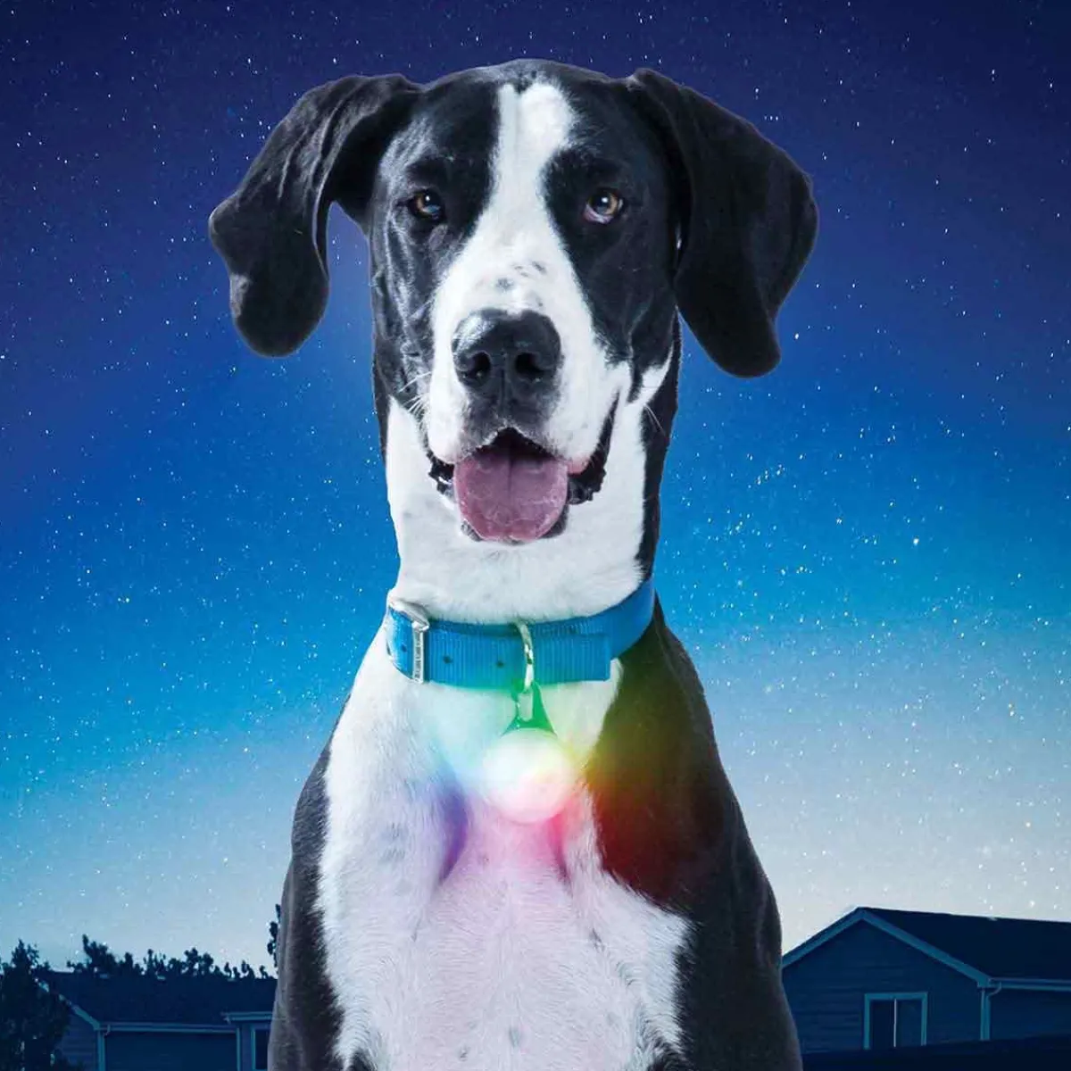 Ryan's Pet Supplies Nite Ize SpotLit Rechargeable Dog Collar Disco Light - XL