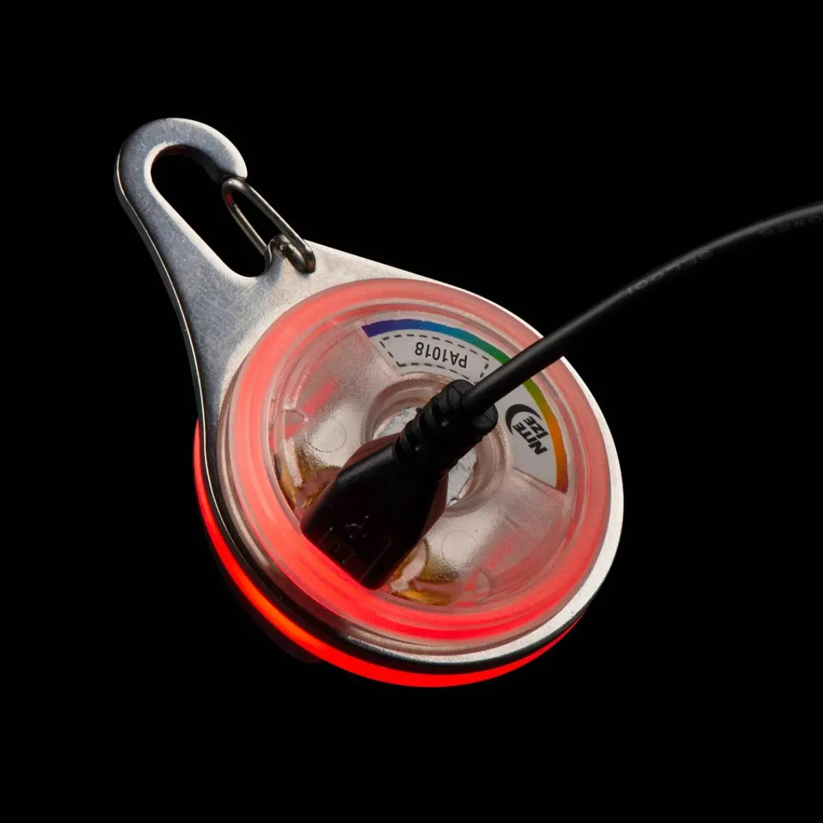 Ryan's Pet Supplies Nite Ize SpotLit Rechargeable Dog Collar Disco Light - XL