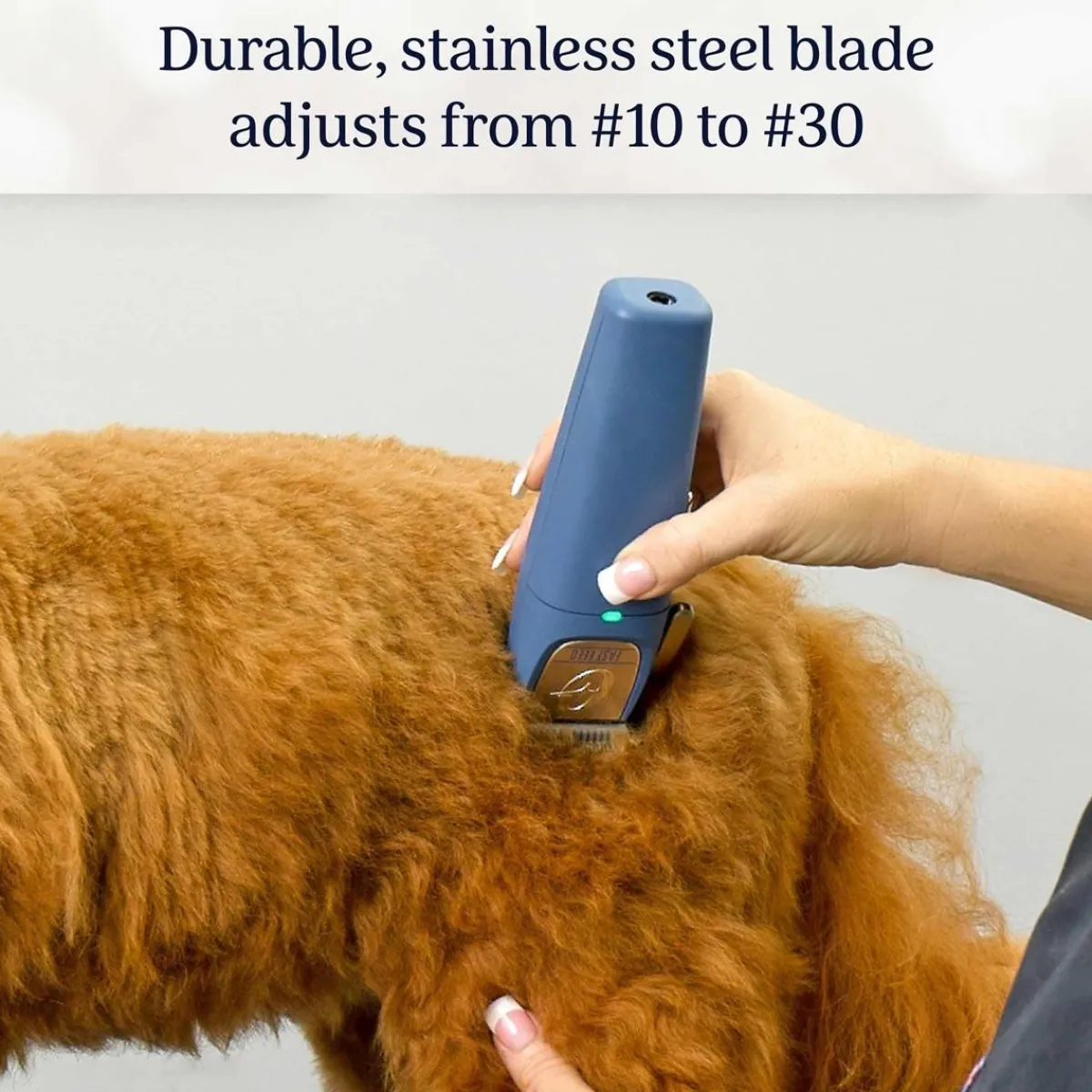 oster_cordless_fast_feed_clipper_3.webp Ryan's Pet Supplies Oster Cordless Fast Feed Clipper