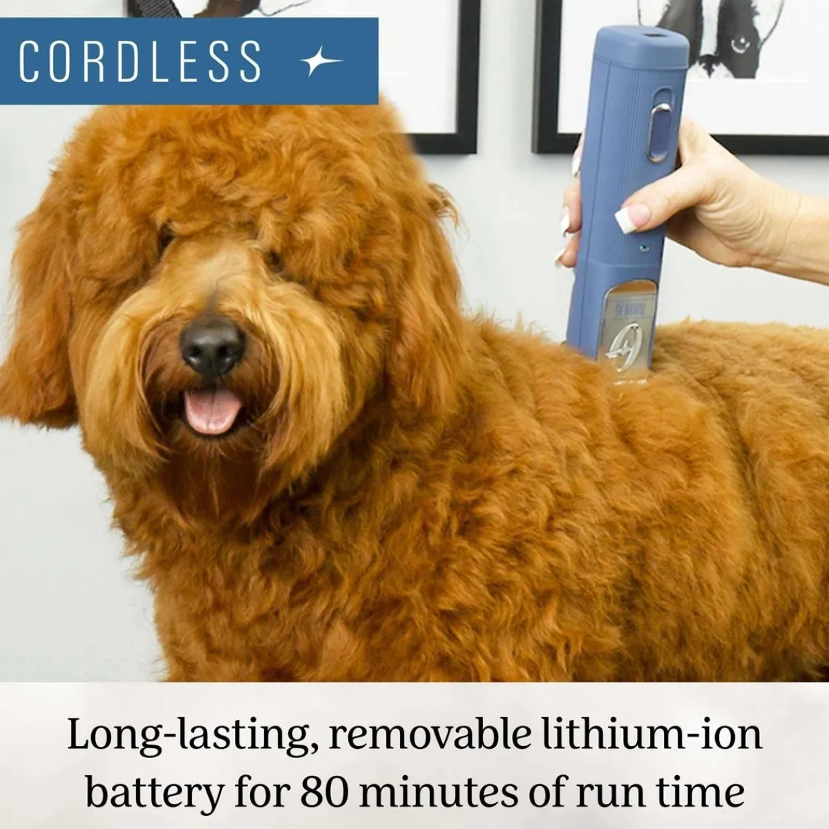 Ryan's Pet Supplies Oster Cordless Turbo A5 Clipper