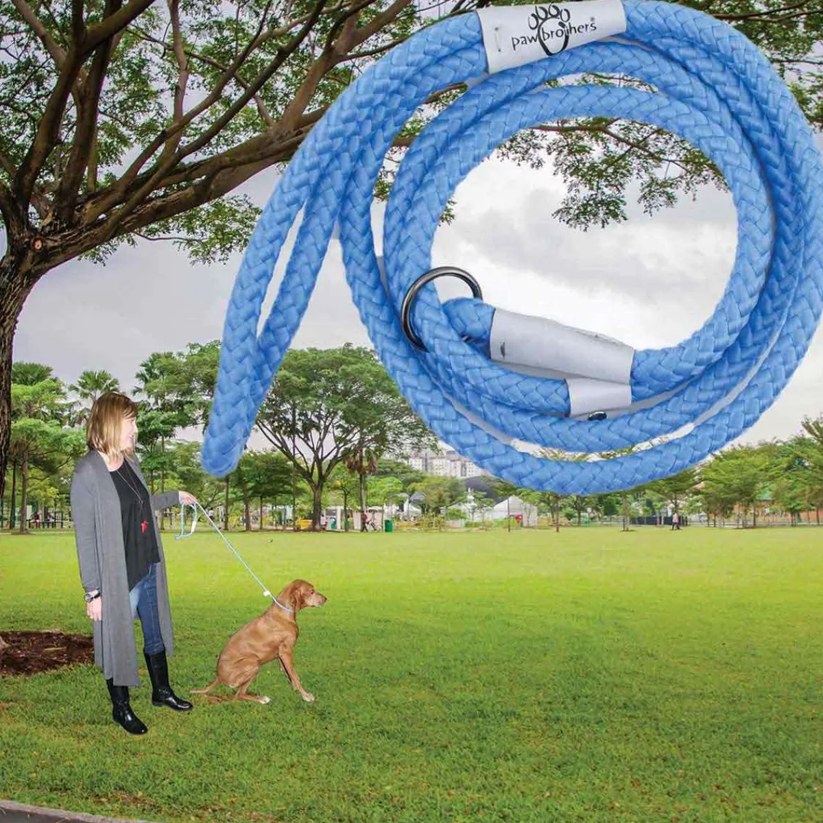 Ryan's Pet Supplies Paw Brothers 6' Rope Slip Lead with Safety Stop Light Blue
