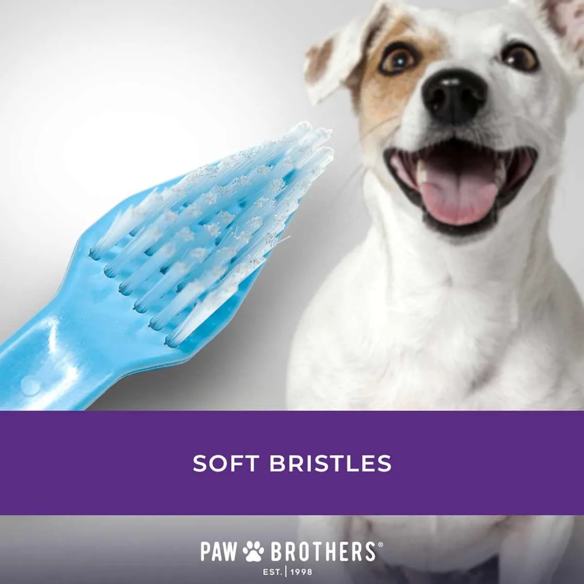 Ryan's Pet Supplies Paw Brothers Dual-End Toothbrush 50 Count