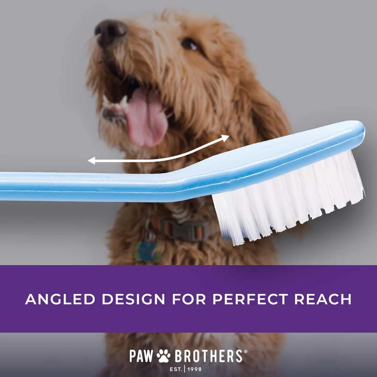 paw_brothers_dualend_toothbrush__count_2.webp Ryan's Pet Supplies Paw Brothers Dual-End Toothbrush 50 Count