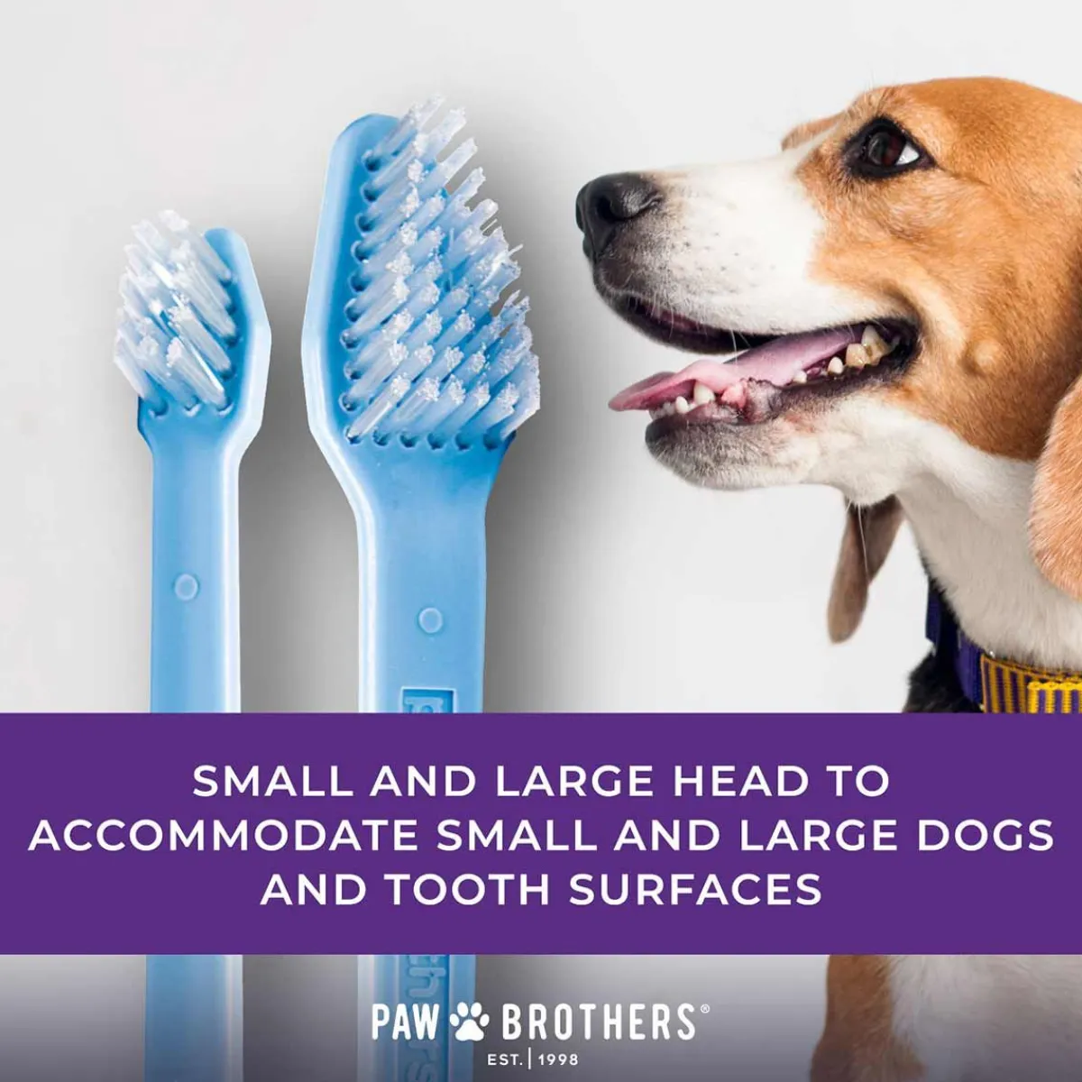 paw_brothers_dualend_toothbrush__count_3.webp Ryan's Pet Supplies Paw Brothers Dual-End Toothbrush 50 Count