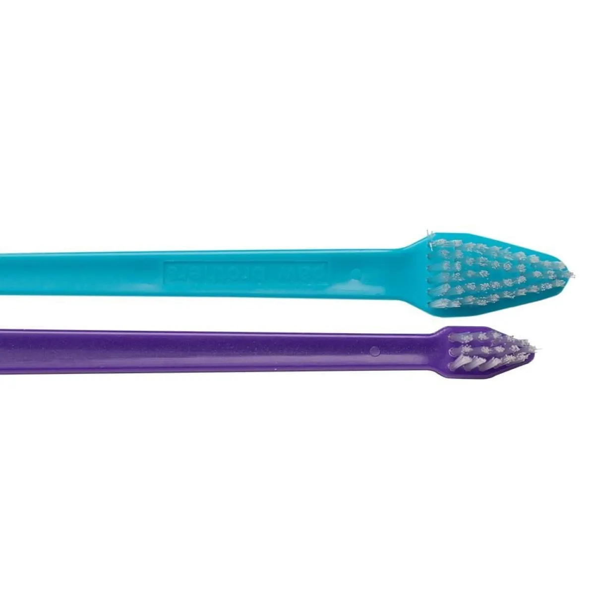 paw_brothers_dualend_toothbrush__count_6.webp Ryan's Pet Supplies Paw Brothers Dual-End Toothbrush 50 Count