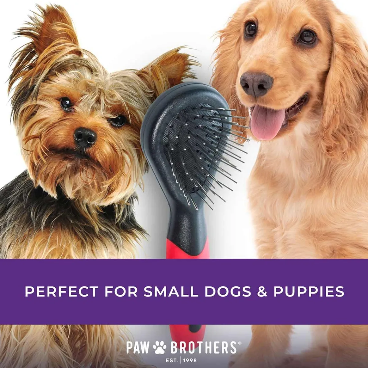 paw_brothers_mini_soft_pin_brush_4.webp Ryan's Pet Supplies Paw Brothers Mini Soft Pin Brush