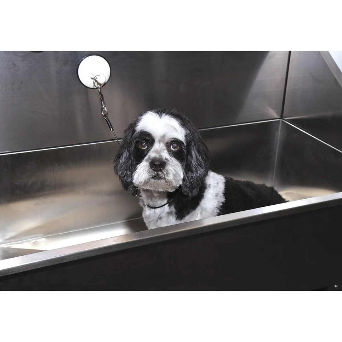 Ryan's Pet Supplies Paw Brothers Professional 30" Bath Restraint with Suction Cup