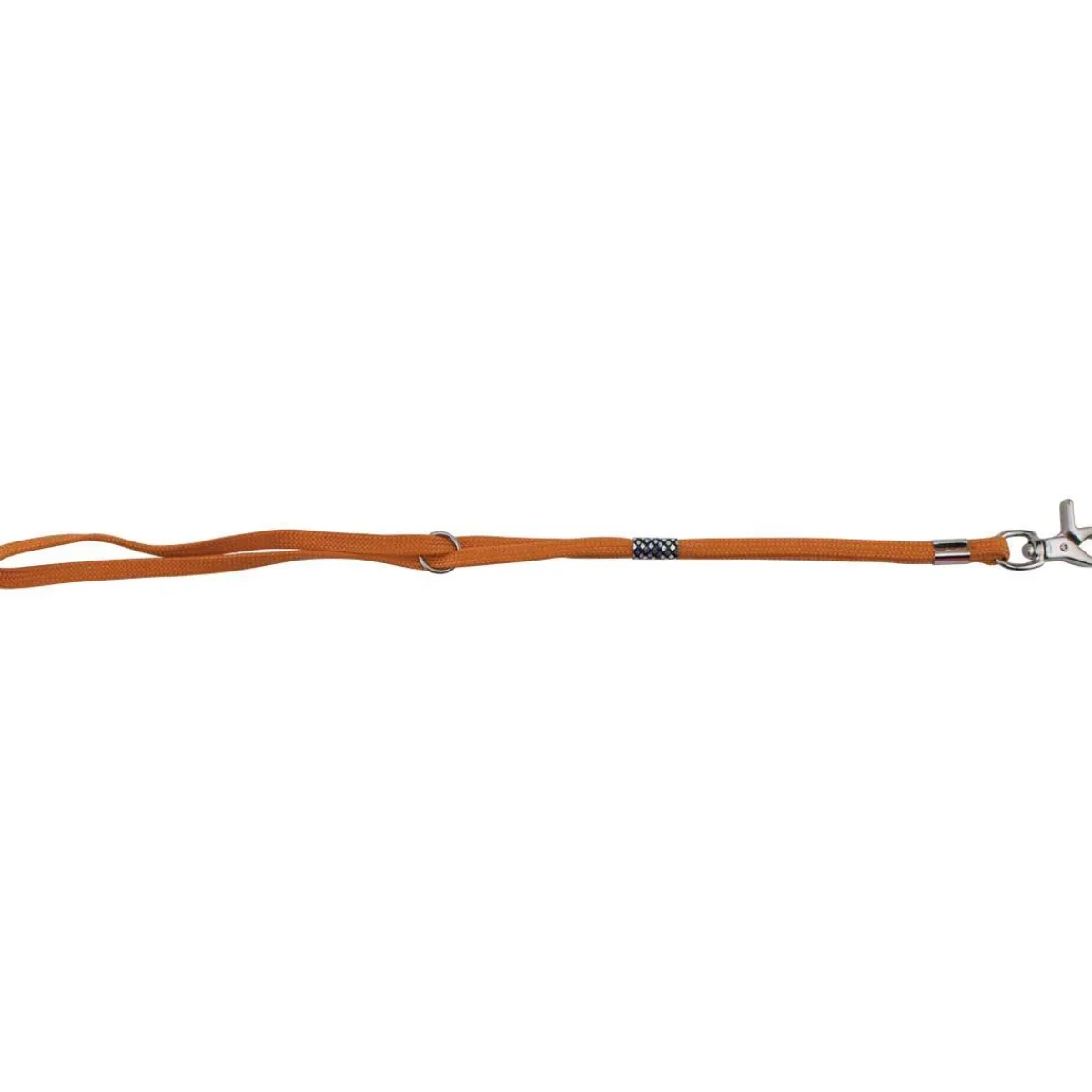 Ryan's Pet Supplies Paw Brothers Professional Slip-Style Fashion Grooming Loop Orange
