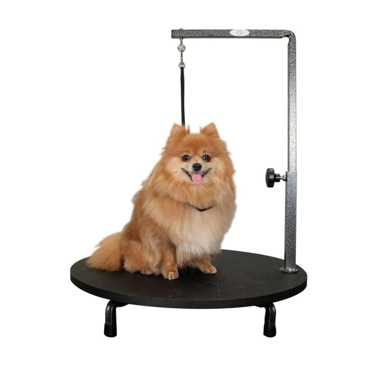 Ryan's Pet Supplies Paw Brothers 24" Rotating Table Top Grooming Station