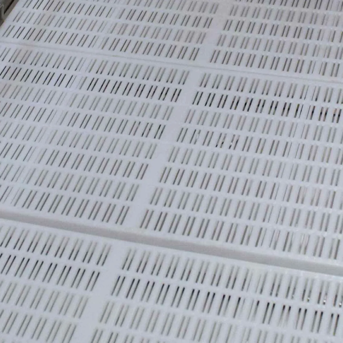 Ryan's Pet Supplies Paw Brothers 36" Tub Floor Grid