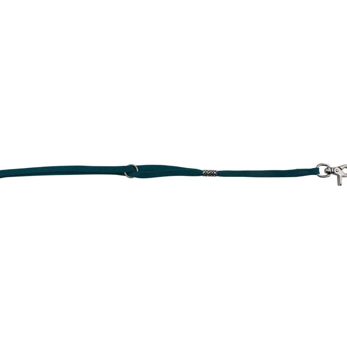 Ryan's Pet Supplies Paw Brothers Slip-Style Fashion Grooming Loop Green
