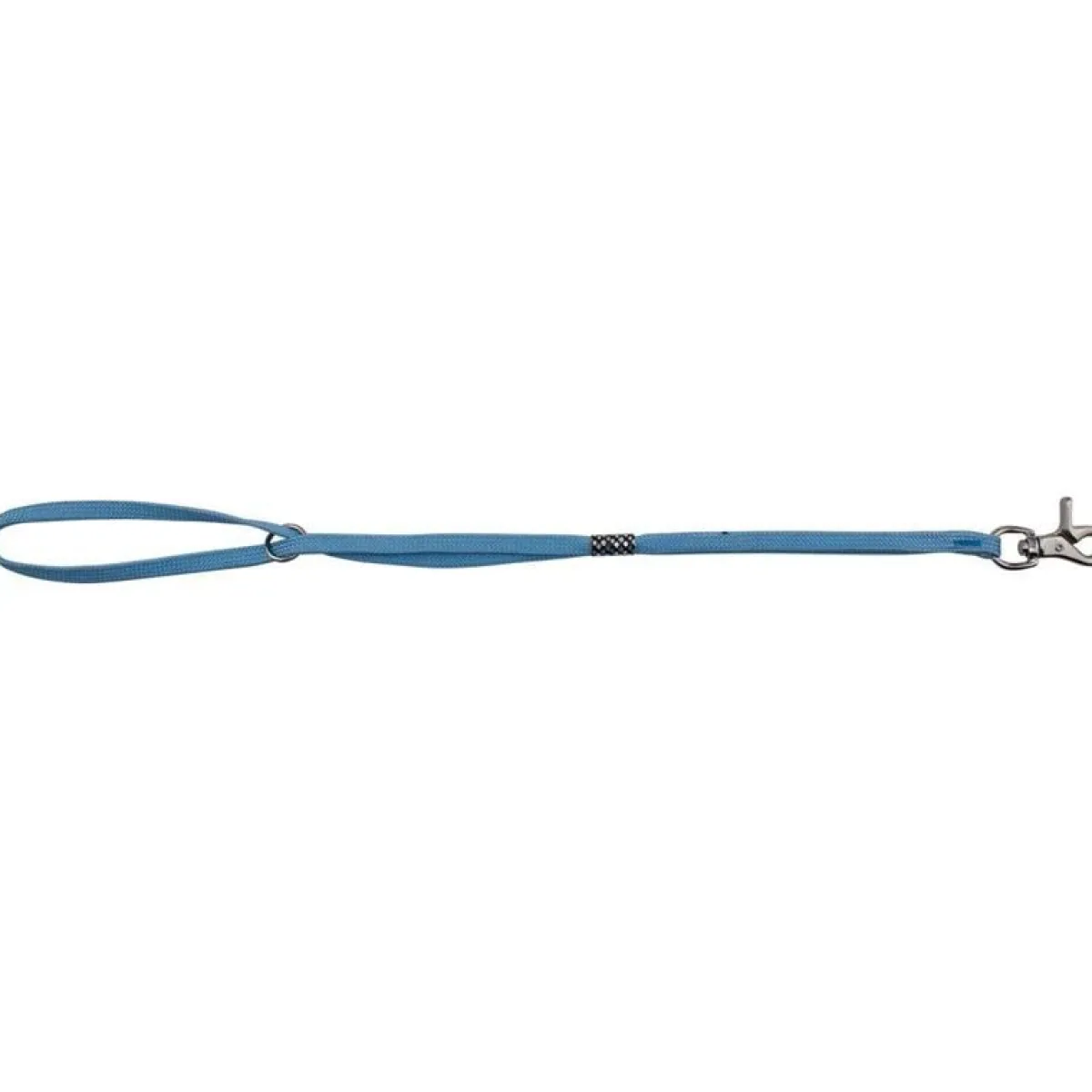 Ryan's Pet Supplies Paw Brothers Slip-Style Fashion Grooming Loop Light Blue